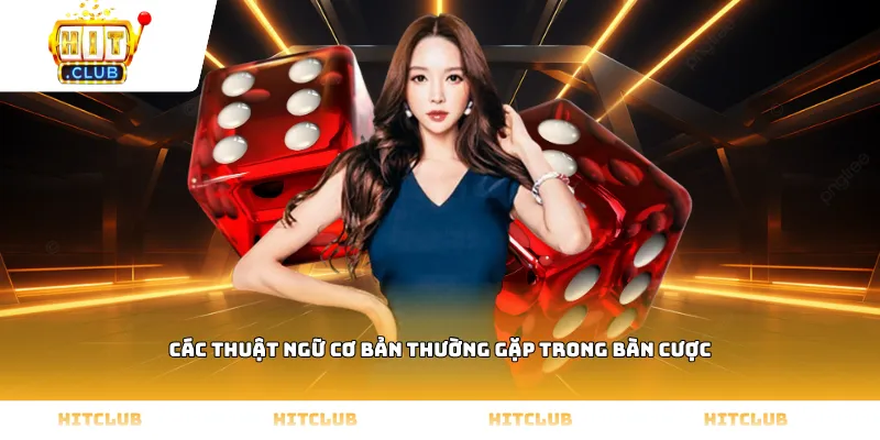 Các thuật ngữ cơ bản thường gặp trong bàn cược