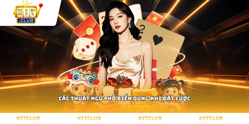 Các thuật ngữ phổ biến dùng khi đặt cược