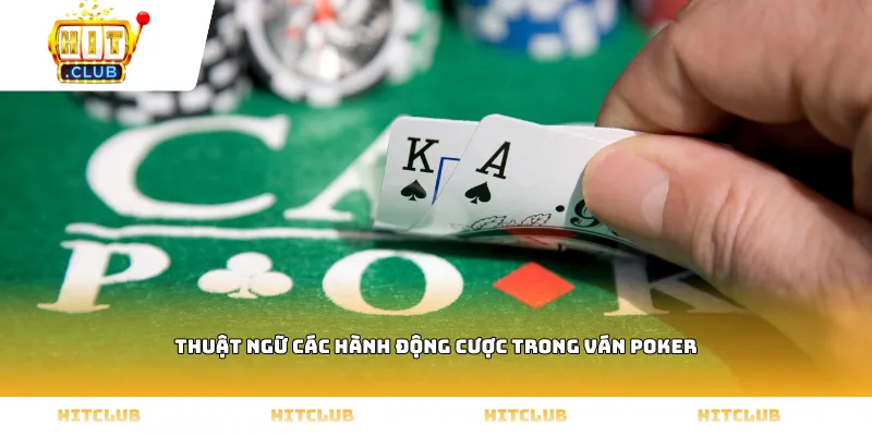 Thuật ngữ các hành động cược trong ván Poker